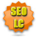 campaña seo basico